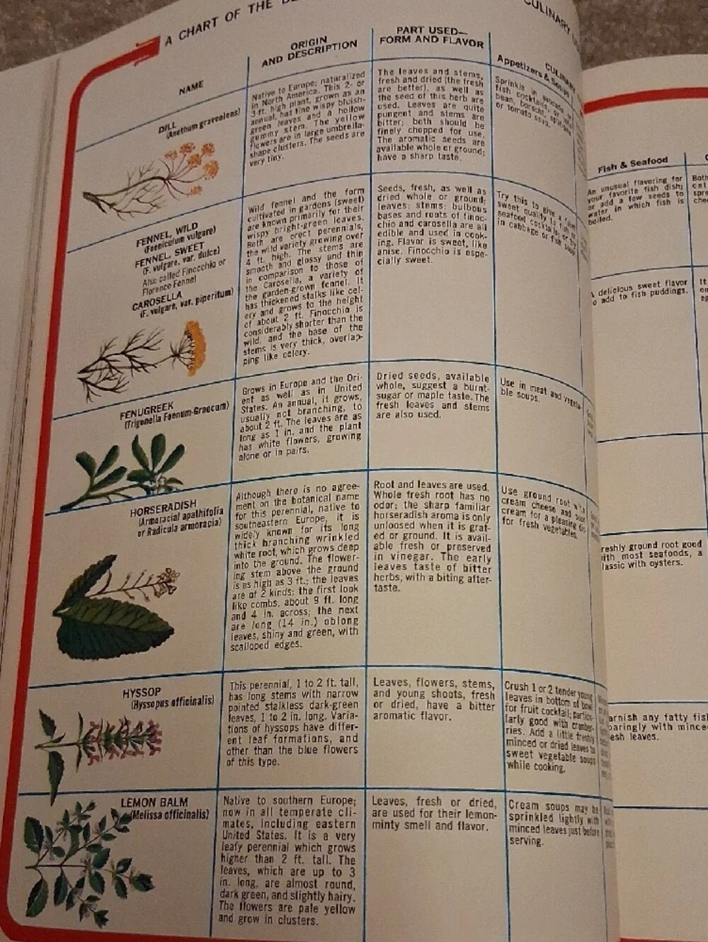 womans day encyclopedia cookery